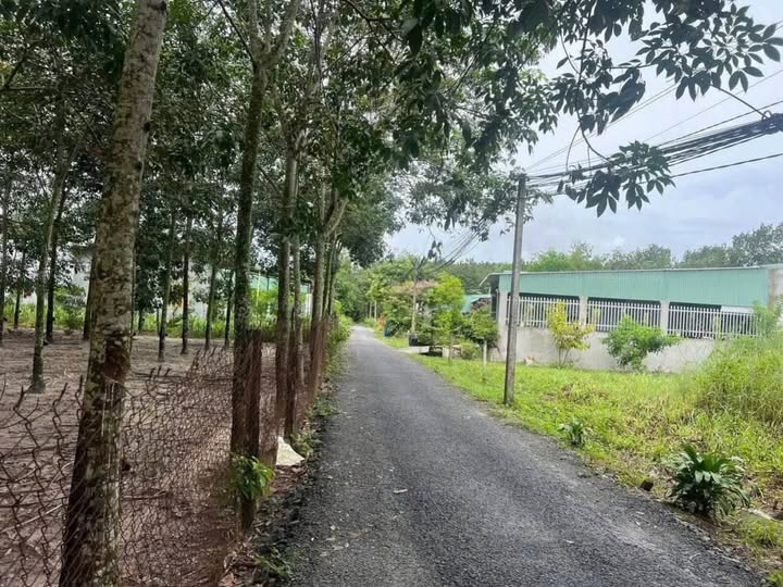 Bán đất thị xã Bến Cát, tỉnh Bình Dương, giá 299 triệu