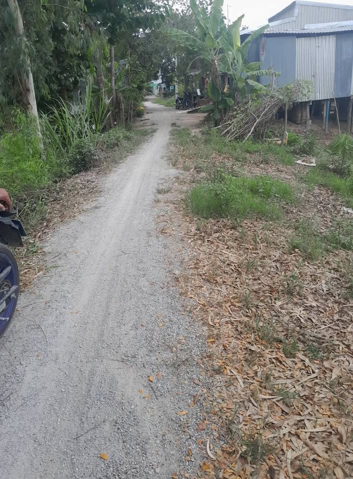 Bán đất huyện Châu Thành, tỉnh An Giang, giá 45,1 triệu/mét ngang