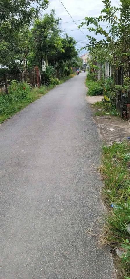 Bán mảnh đất rộng lớn 20.000m2 tại An Phước, Bến Tre cũ