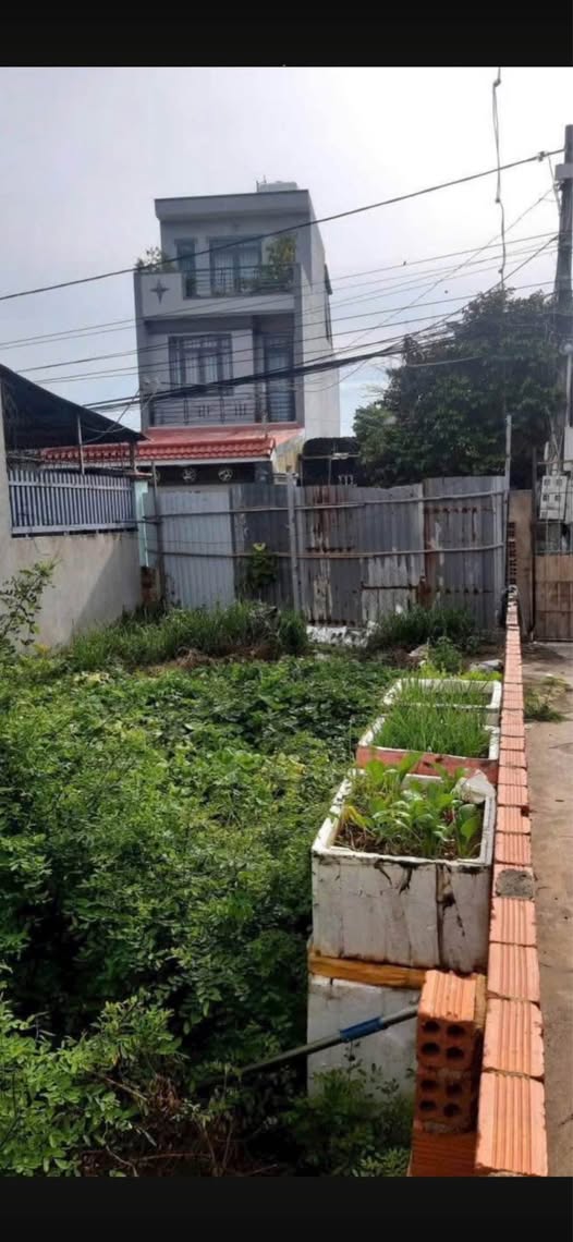 Bán đất hẻm ô tô đường Hàn Thuyên, phường Rạch Dừa, Vũng Tàu, giá 5.9 tỷ