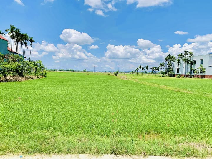 Đất vườn Điện Phước 200m2 view lúa xinh xinh, giá 1,3 tỷ