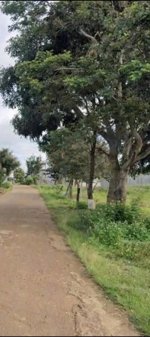 Mảnh đất vuông vức tại Quảng Lập, Đơn Dương, nơi an cư và đầu tư lý tưởng