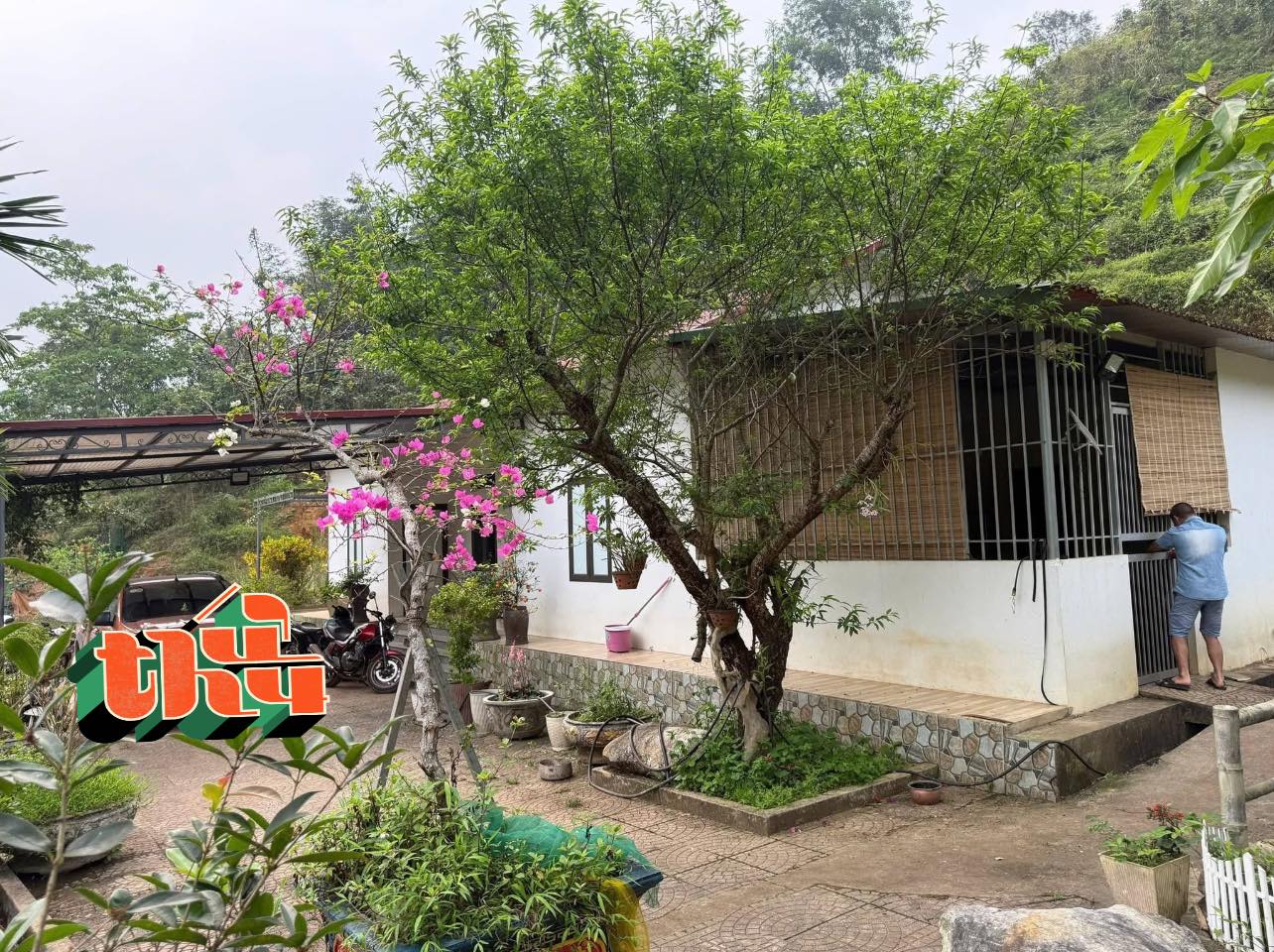Bán nhà riêng thành phố Hà Giang, tỉnh Hà Giang, giá 3 tỷ