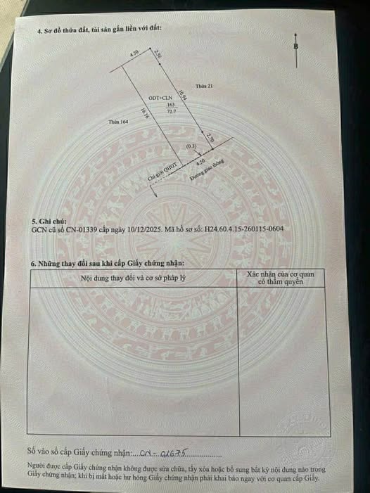 Chính chủ gửi bán lô đất khu Liễu Tràng, Tân Hưng, Hải Dương