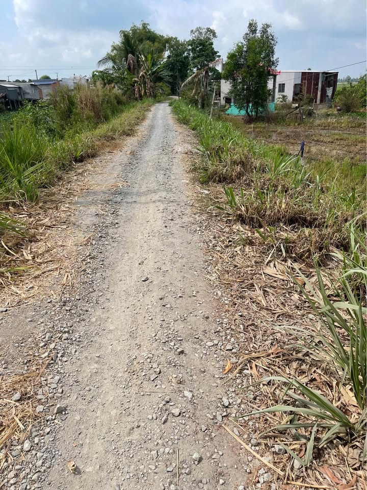 Bán đất huyện Cao Lãnh, tỉnh Đồng Tháp, giá 300 triệu