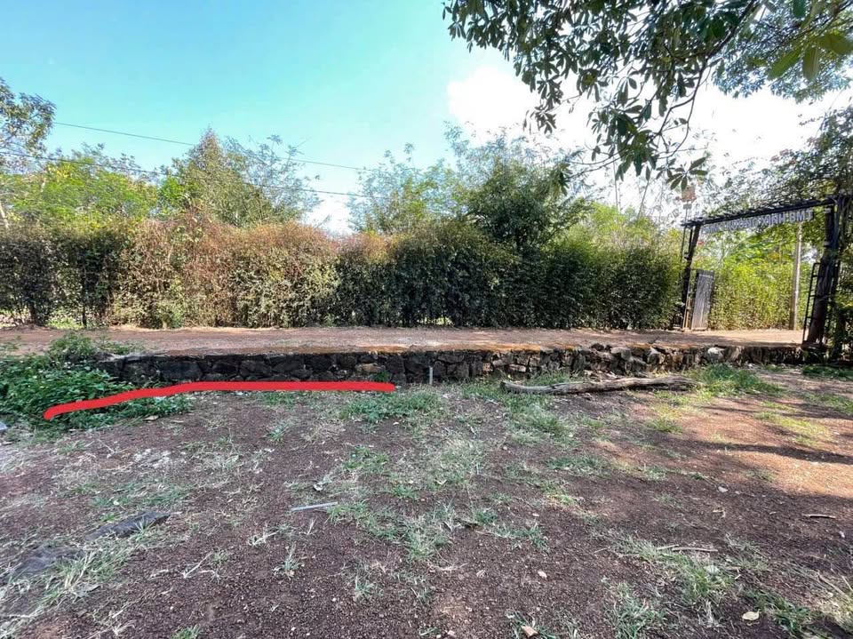 Bán lô đất tại phường Thành Nhất, khu dân cư hiện hữu