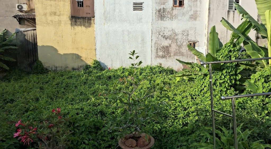 Bán đất Huỳnh Tấn Phát, Quận 7, hẻm 5m, giá chỉ 4.3 tỷ