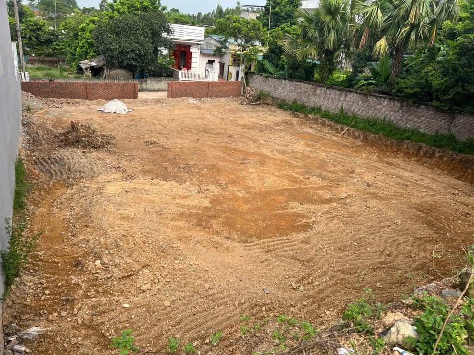 Bán đất huyện Tam Đảo, tỉnh Vĩnh Phúc, giá 10 triệu/m2