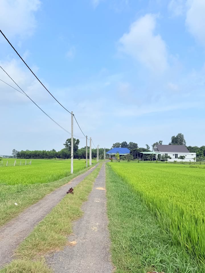 Bán đất huyện Đất Đỏ, tỉnh Bà Rịa, Vũng Tàu, giá 790 triệu