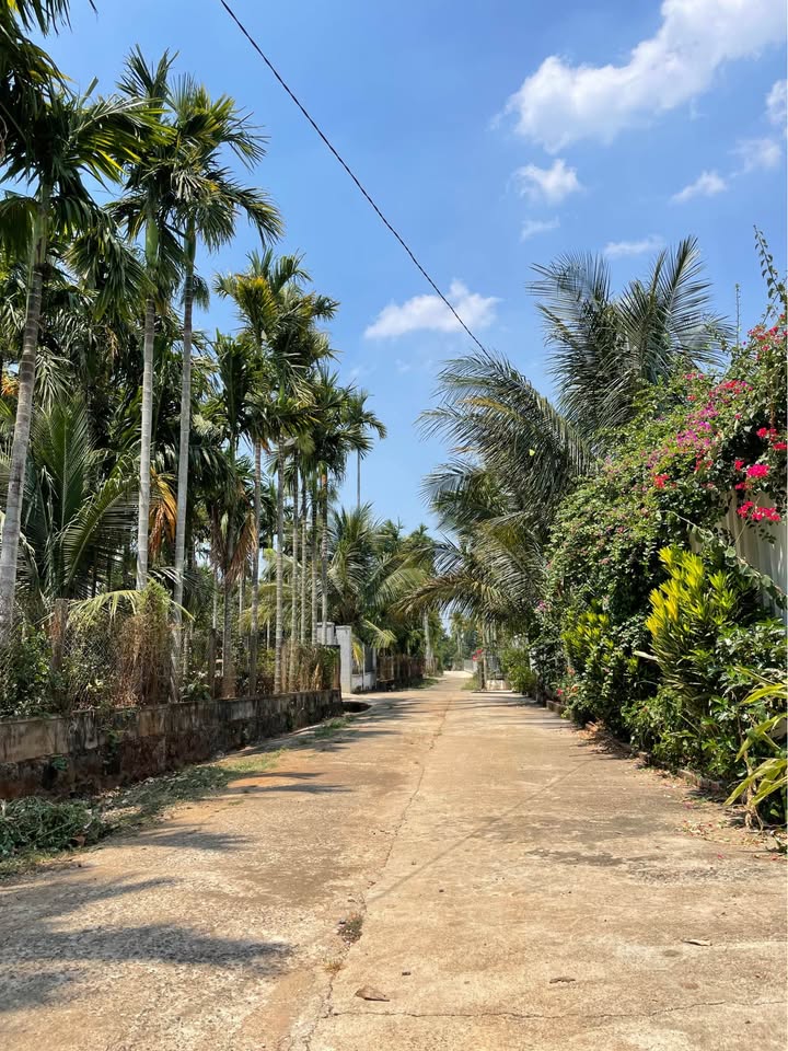 Bán đất thành phố Buôn Ma Thuột, tỉnh Đắk Lắk, giá 600 triệu