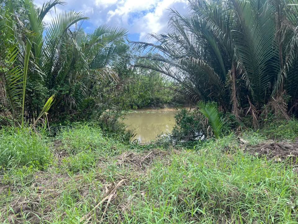 Bán nhà riêng thị xã Vĩnh Châu tỉnh Sóc Trăng, giá 4,2 tỷ