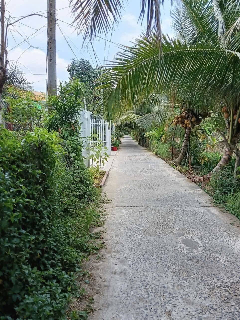 Bán đất nền dự án thành phố Bến Tre tỉnh Bến Tre giá 520.0 triệu