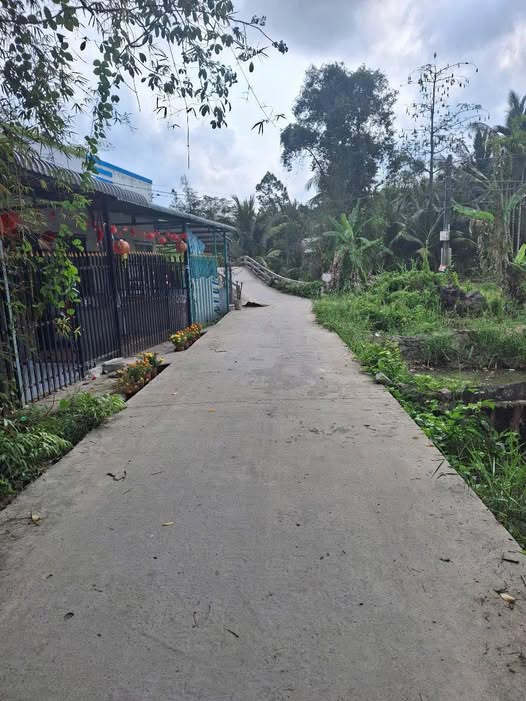 Bán 300m2 đất tại phường Vị Tân, thành phố Cần Thơ mới, giá 300 triệu