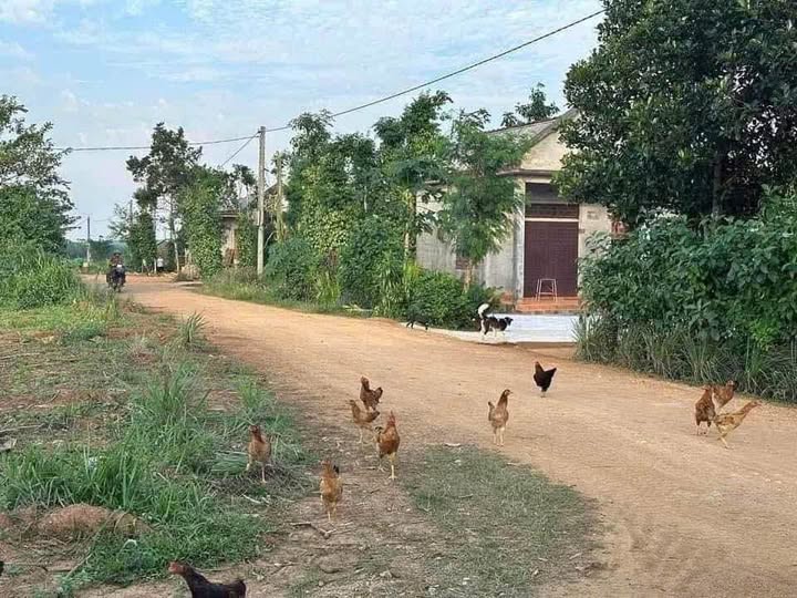 Bán nhà riêng huyện Gio Linh, tỉnh Quảng Trị