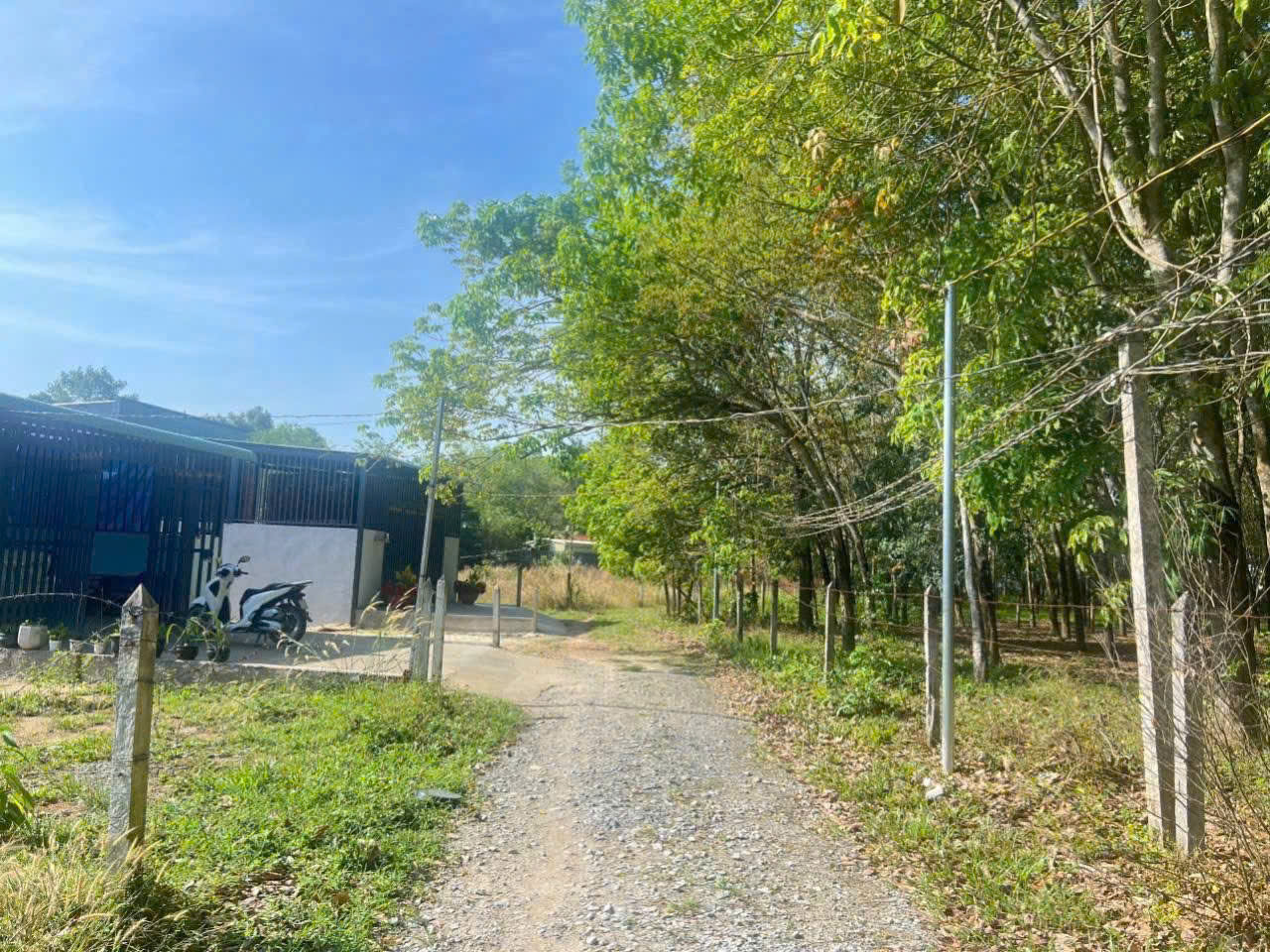 Bán đất tại Phú An, Bến Cát, Bình Dương, giá 950 triệu