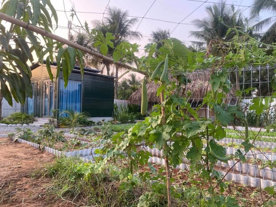 Bán nhà riêng huyện Châu Thành tỉnh Bến Tre, giá 1,45 tỷ