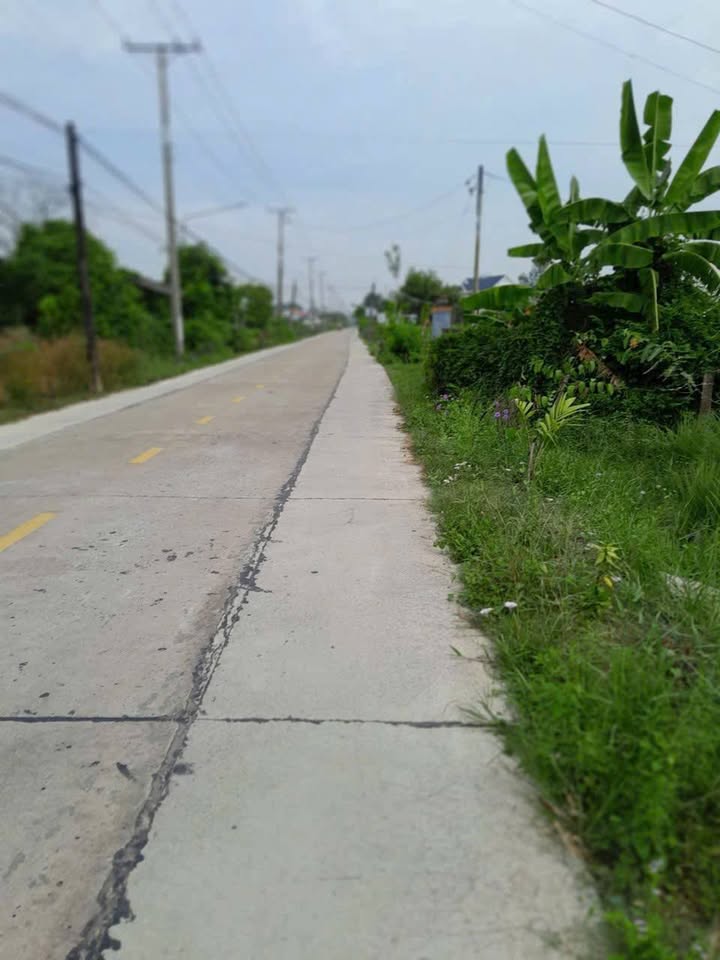 Bán gần 3 công đất mặt tiền đường Lộ Dừa, Vĩnh Công, Châu Thành, Long An