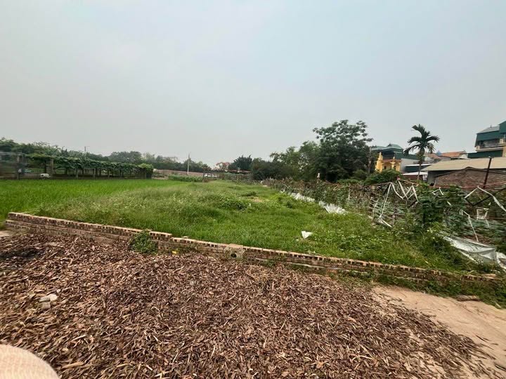 Bán đất xã Thuận An thành phố Hà Nội, giá 590 triệu