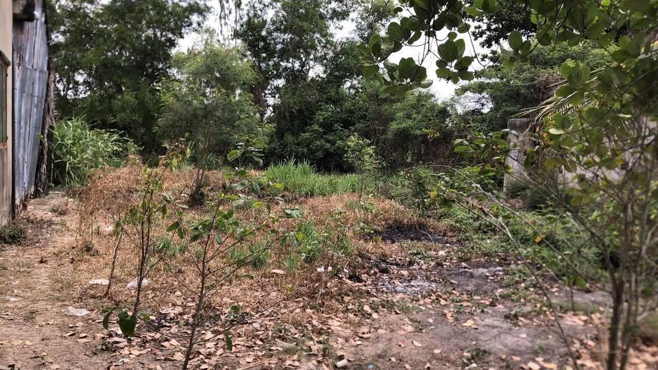 Bán đất mặt tiền đường bê tông trục thẳng đường ô tô tại Bích Trì, phường Hòa Thuận