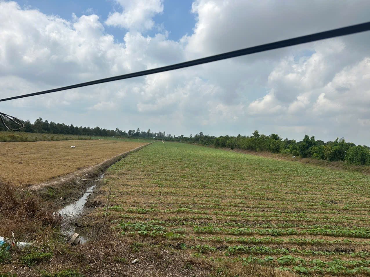 Bán đất huyện Lấp Vò, tỉnh Đồng Tháp, giá 2,26 tỷ