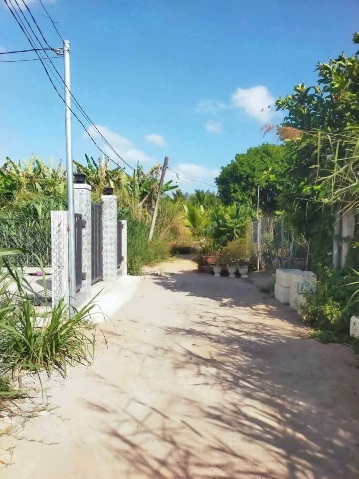 Bán đất thành phố Bến Tre tỉnh Bến Tre giá 230 triệu