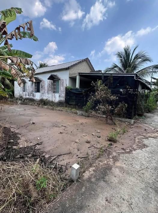 Bán đất thành phố Bến Tre, tỉnh Bến Tre, giá 590 triệu