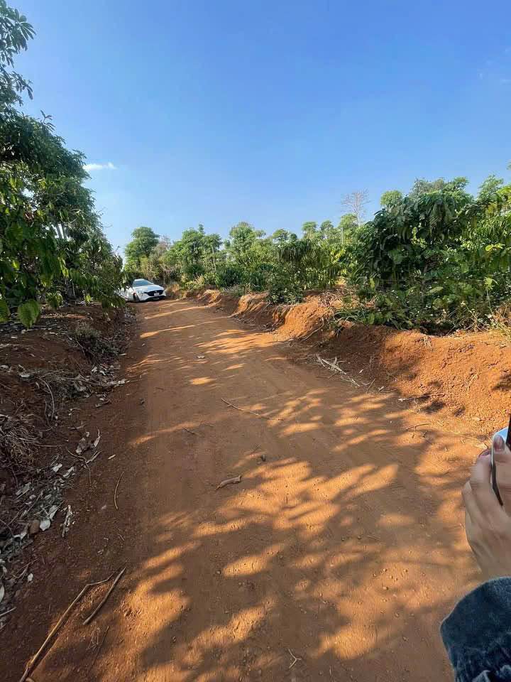 Bán nhà riêng thành phố Buôn Ma Thuột, tỉnh Đắk Lắk, giá 380 triệu