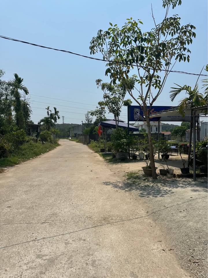 Bán đất mặt tiền khu quy hoạch Đồng Cát 162m2, hướng Đông Bắc, giá 19 triệu/m2