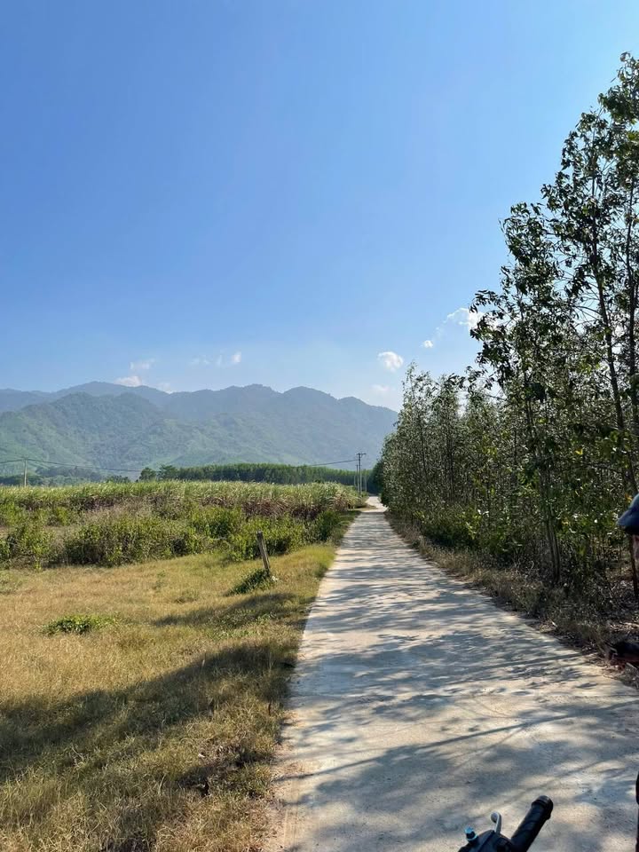 Bán đất thành phố Nha Trang, tỉnh Khánh Hòa, giá 1,4 tỷ