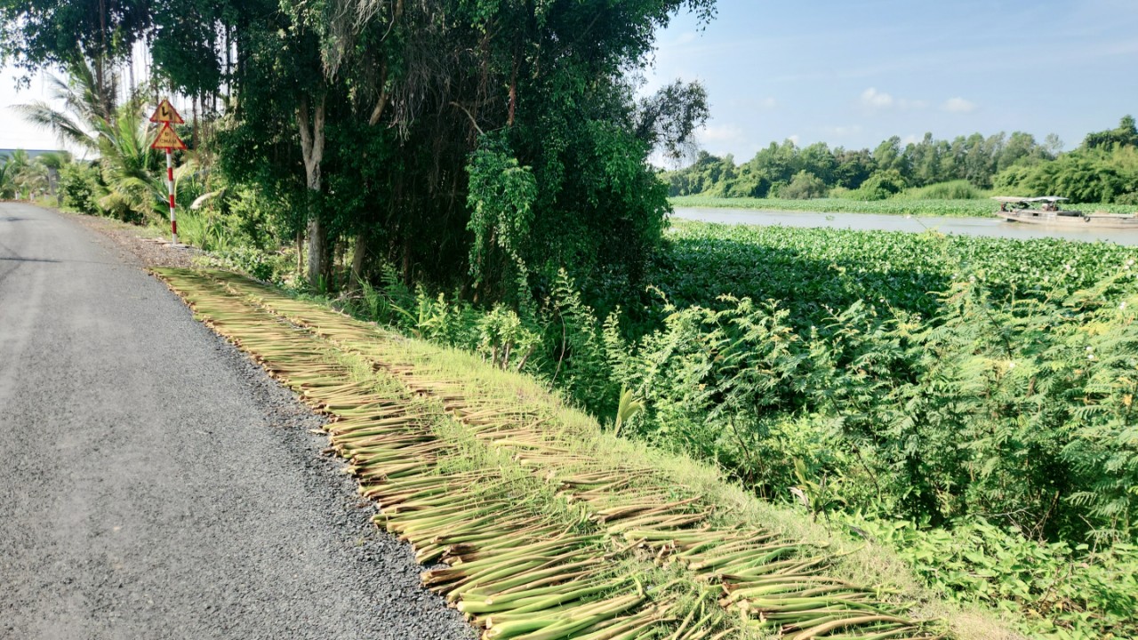 Cần bán lô đất 428m2 thổ cư mặt tiền lộ nhựa Ấp Ông Lễ, Kiến Tường, Long An