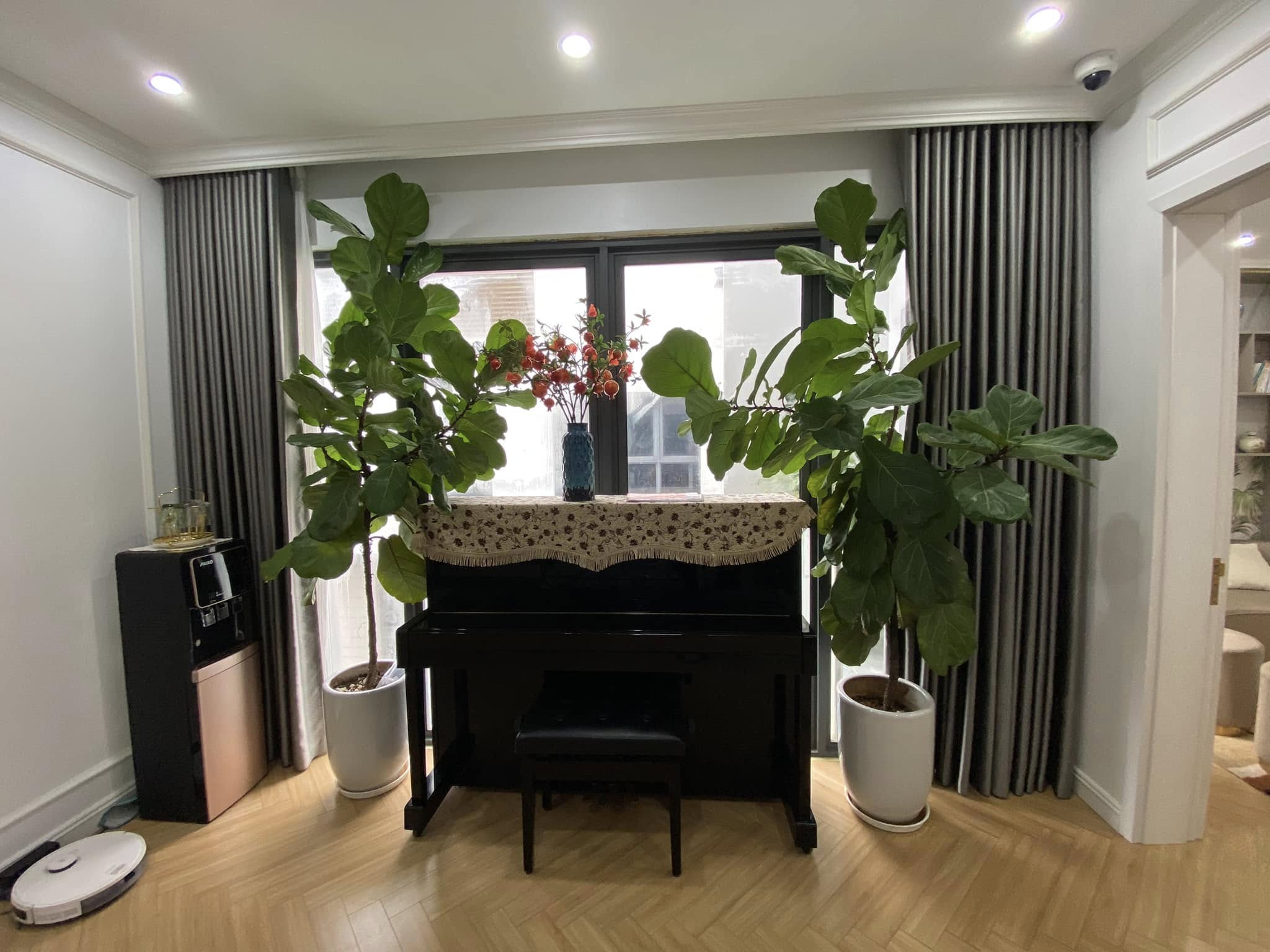 Chính chủ bán biệt thự sân vườn Dương Nội, hoàn thiện đẹp ở ngay, giá tốt