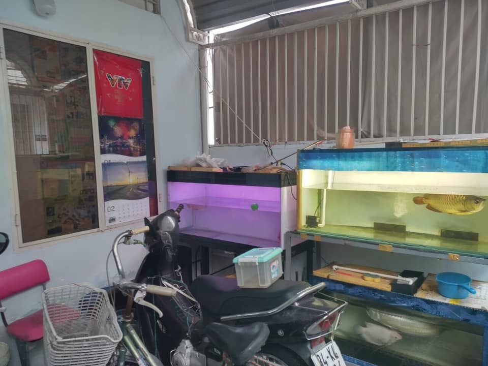 Bán nhà HBG Phạm Văn Bạch, phường 15, Tân Bình, diện tích 73m2, 2 tầng, giá 4,8 tỷ