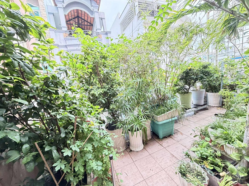 Bán nhà hẻm kinh doanh Thành Thái, phường 14, 44m2, 3 tầng, ngang 5m