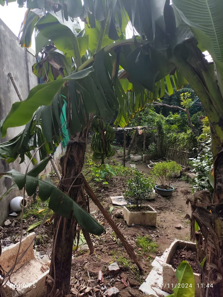 Bán đất ngõ Nguyễn Khuyến, Nam Định, 70m2, giá 2.5 tỷ