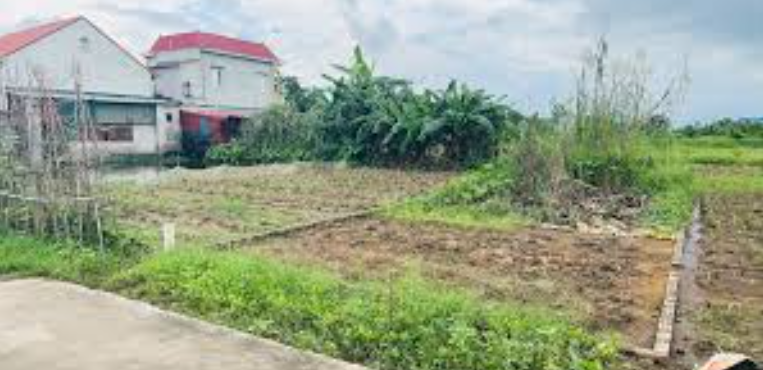 Bán đất tại Nhất Trai, Lương Tài, đường ô tô vào tận nơi, 92m2, giá nhỉnh 1 tỷ