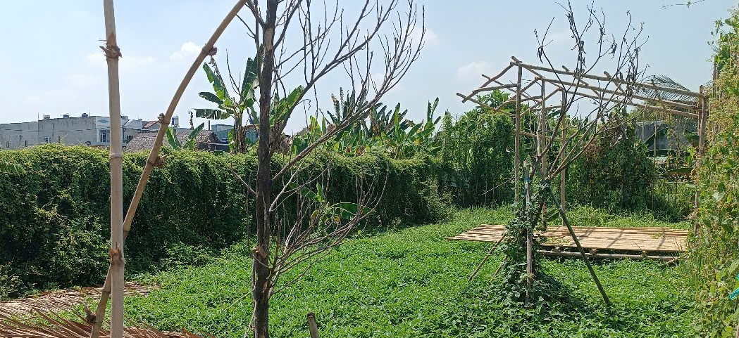 Đất đường ô tô thông, Bình Mỹ, Củ Chi, 10m x 25m, 990 triệu