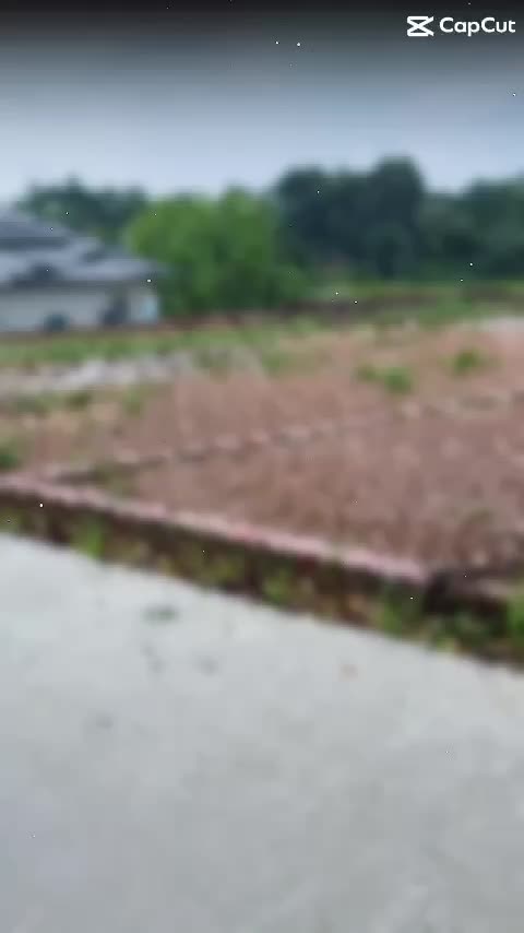 Cần bán gấp lô đất 200m2 giá đẹp